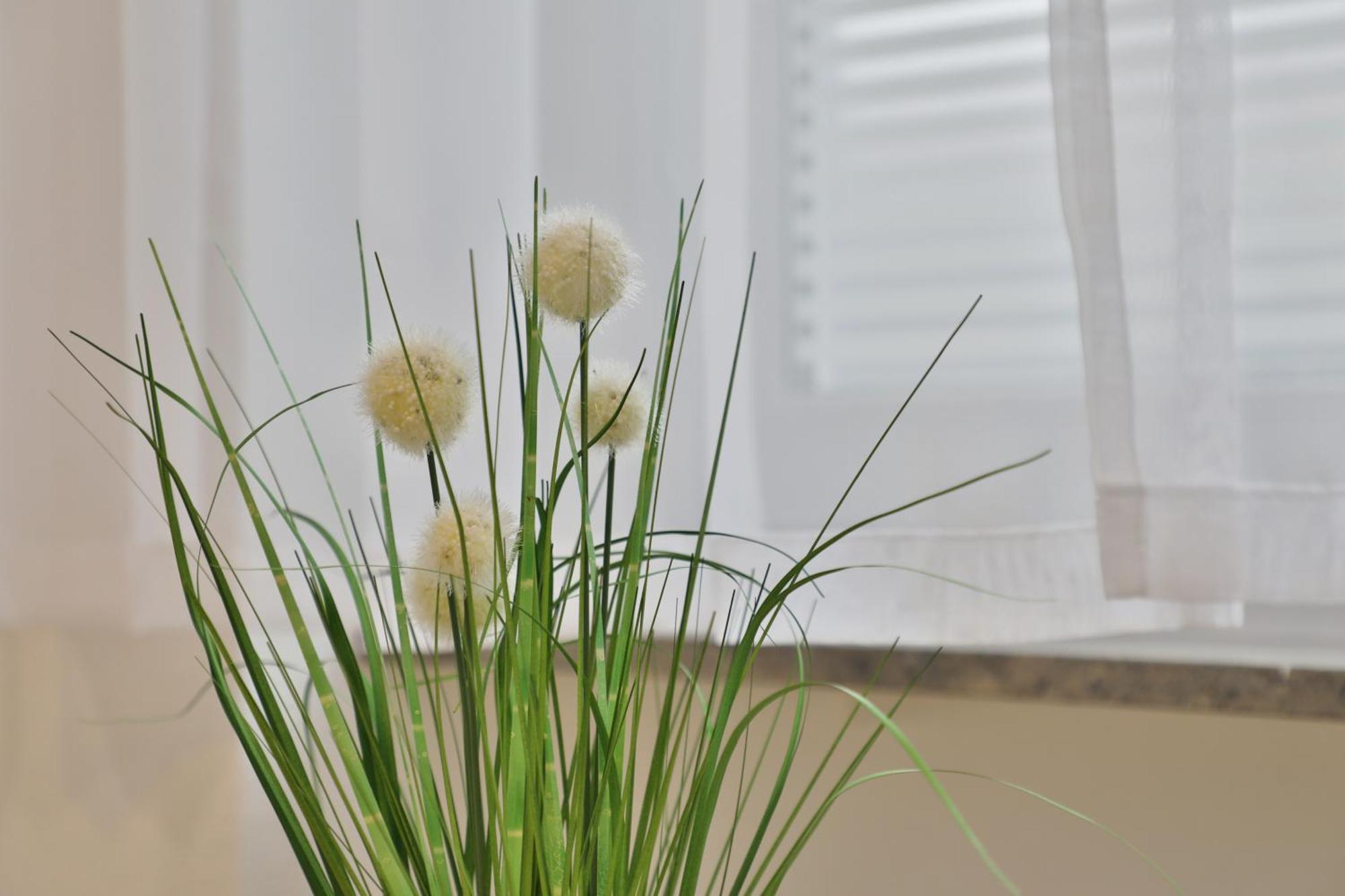 Apartament Moderne - Service Im *